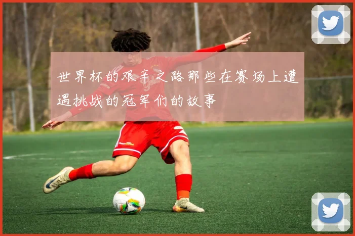 世界杯的艰辛之路那些在赛场上遭遇挑战的冠军们的故事